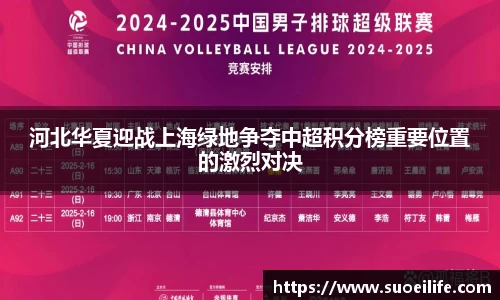 河北华夏迎战上海绿地争夺中超积分榜重要位置的激烈对决